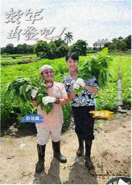 副歌之前的静音页分镜图